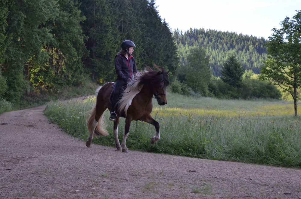 <p>Maresa mit Gellivr vom Mhlental</p>